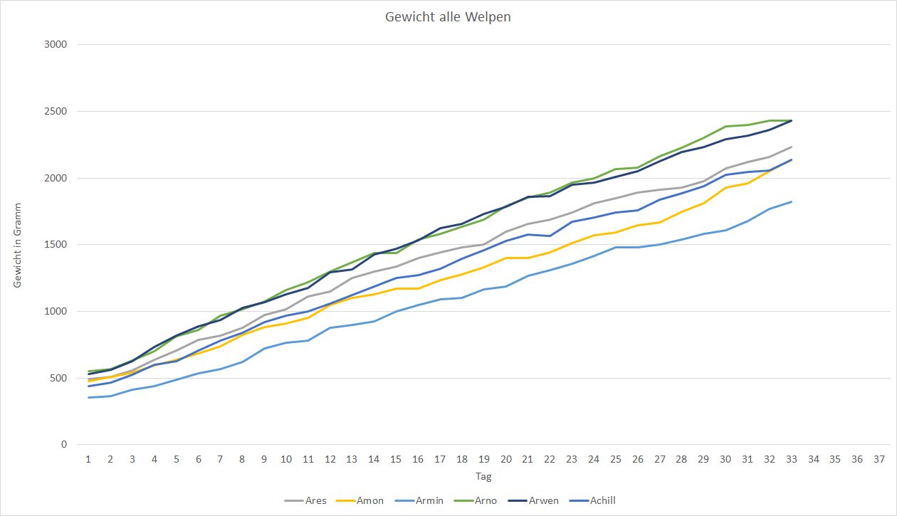 Gewicht%20Diagramm