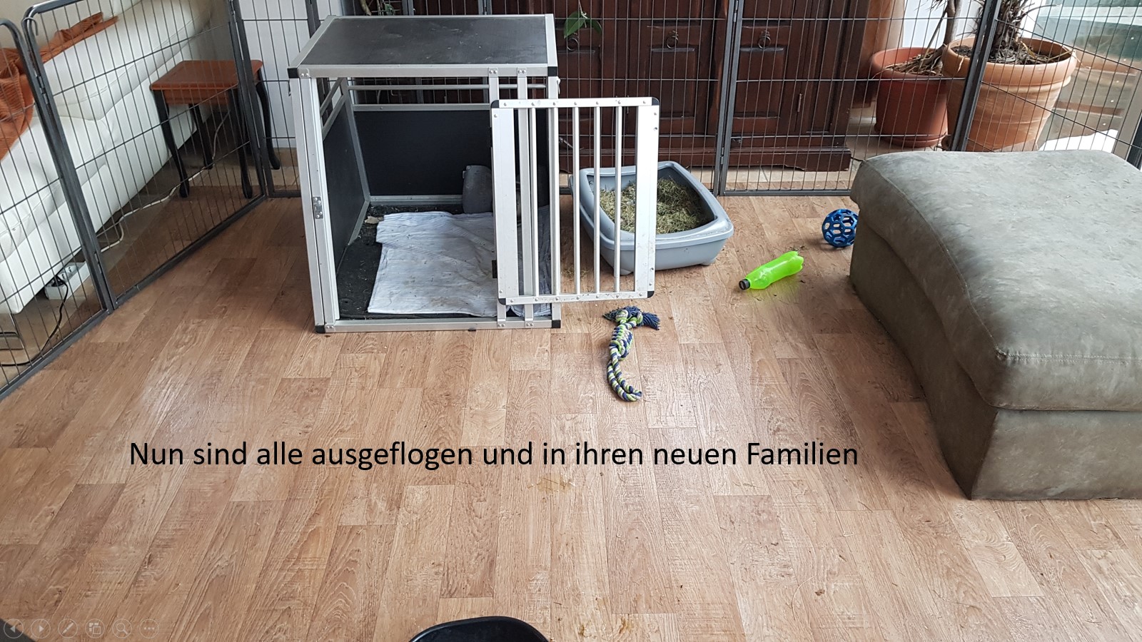 Ausgeflogen