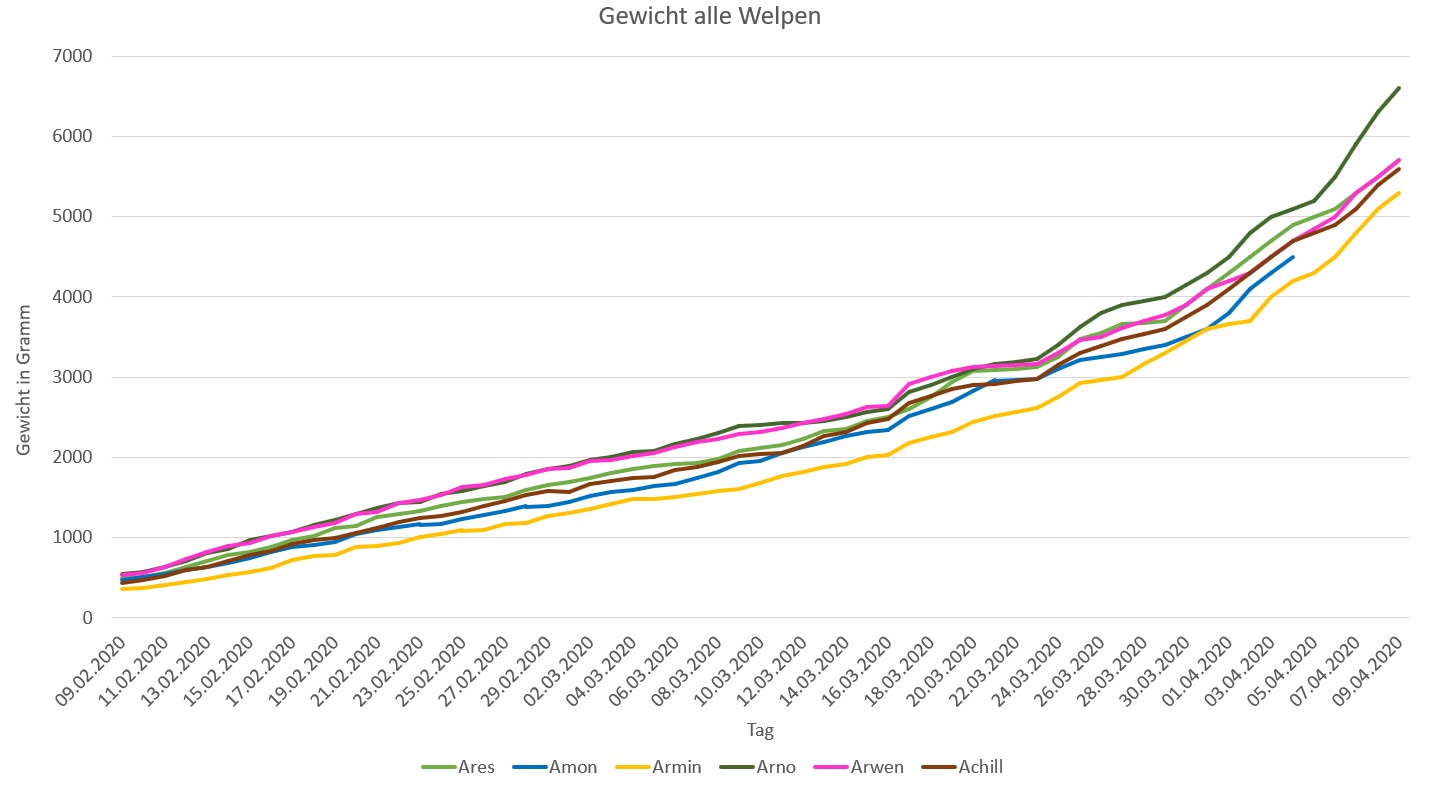 Gewicht