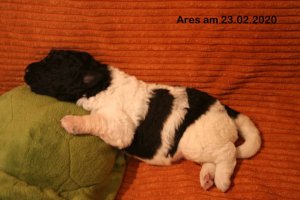 ares