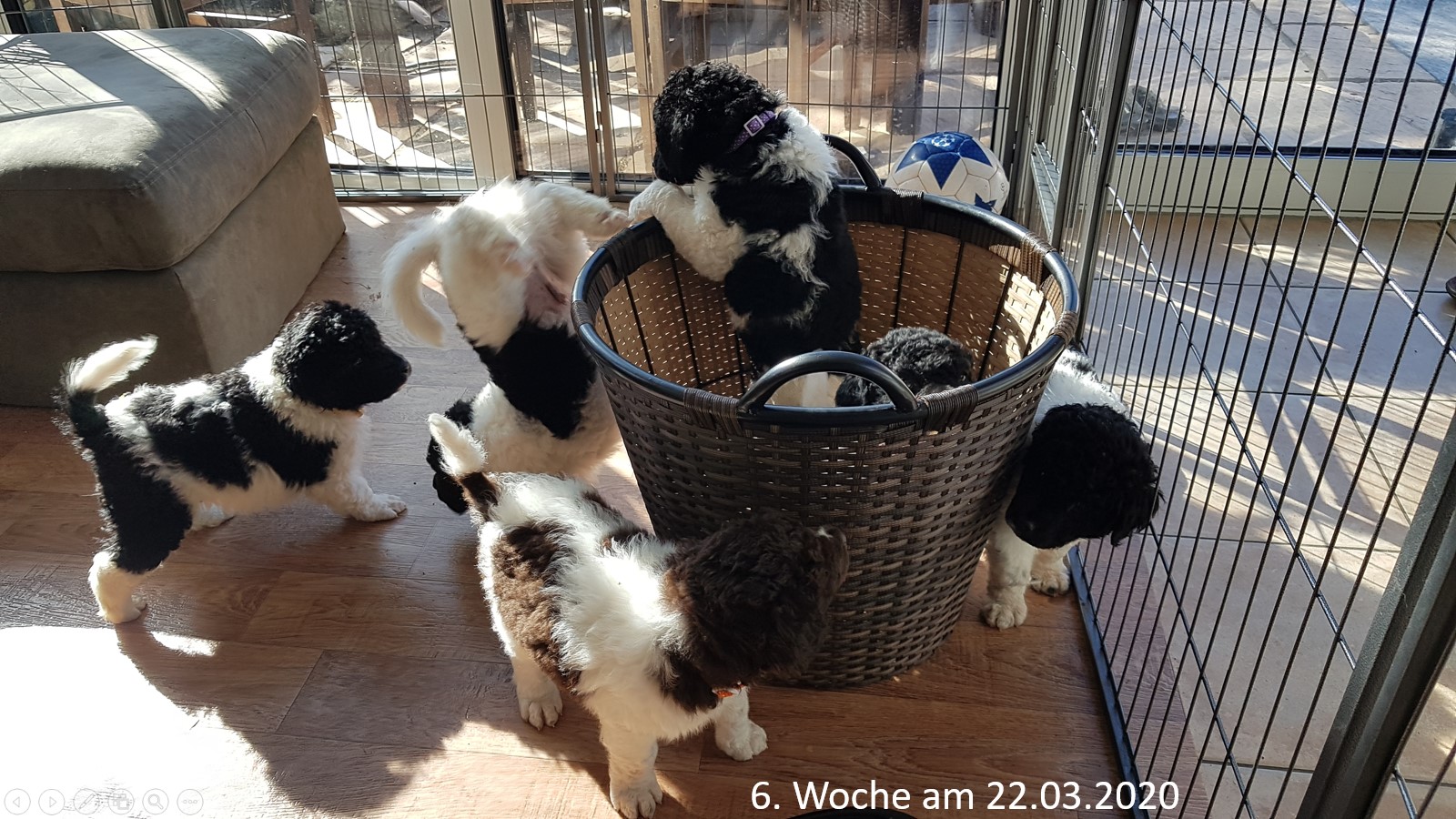 Woche 6
