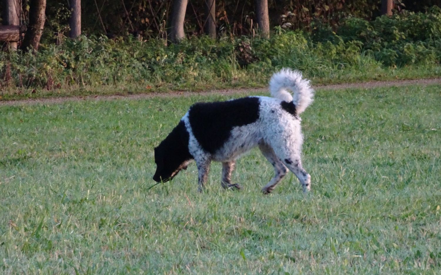 Froukje